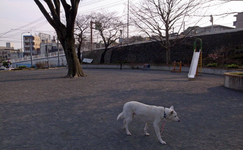 a0117039_19574653.jpg