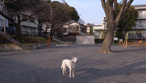 a0117039_1957596.jpg