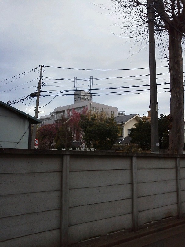 b0031140_19555227.jpg