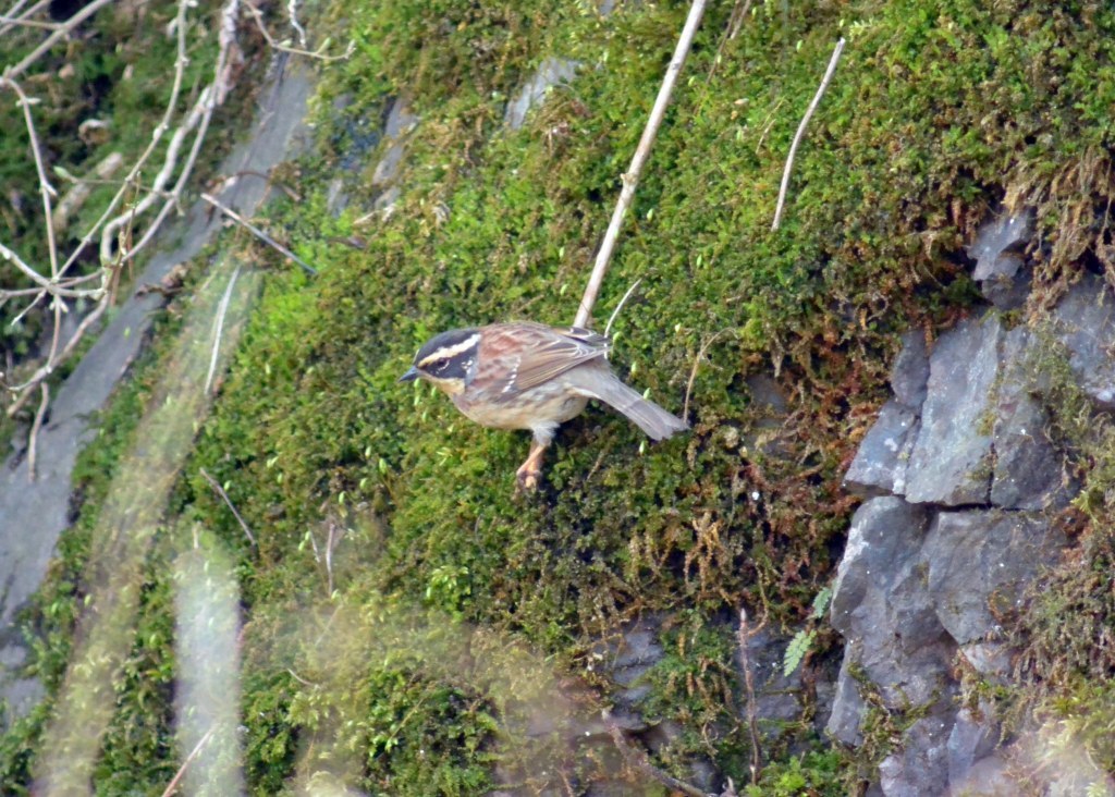 c0349842_15544247.jpg