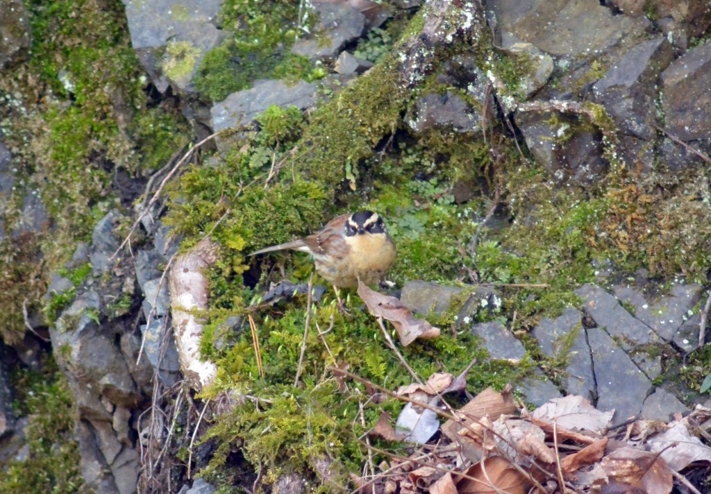 c0349842_15544736.jpg