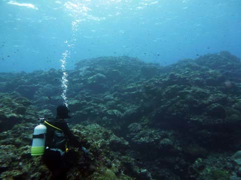f0014842_16202499.jpg