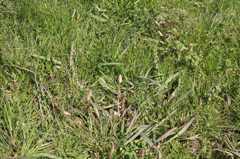 f0032042_1754795.jpg