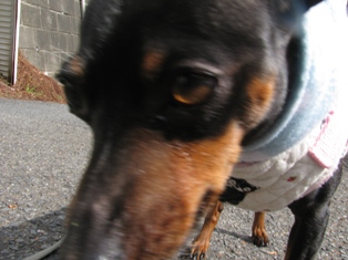 e0150843_2340111.jpg