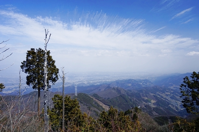 b0122448_12150491.jpg
