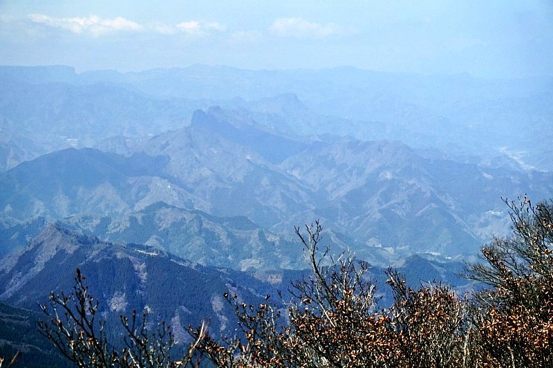 b0122448_12412489.jpg