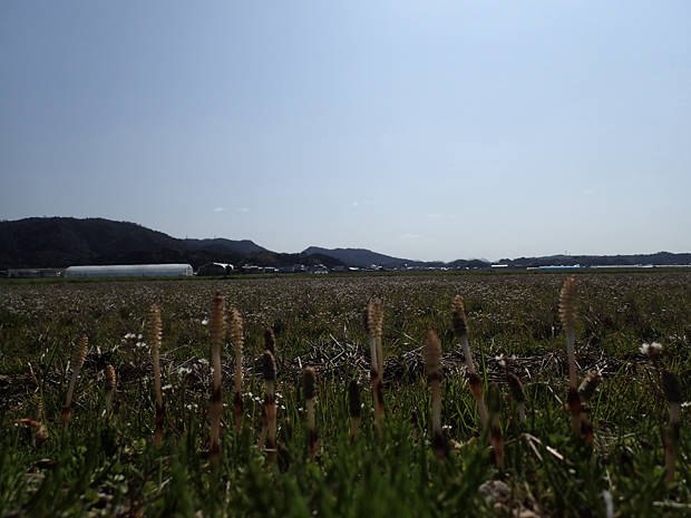 f0214649_3571994.jpg