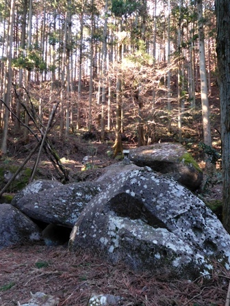 b0173754_12340969.jpg