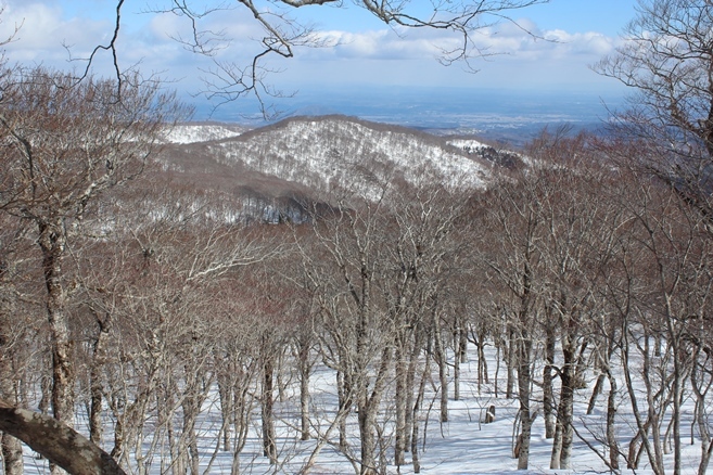 e0239458_17450244.jpg
