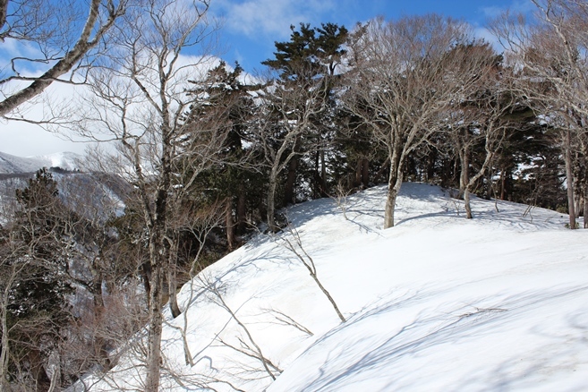 e0239458_19102662.jpg