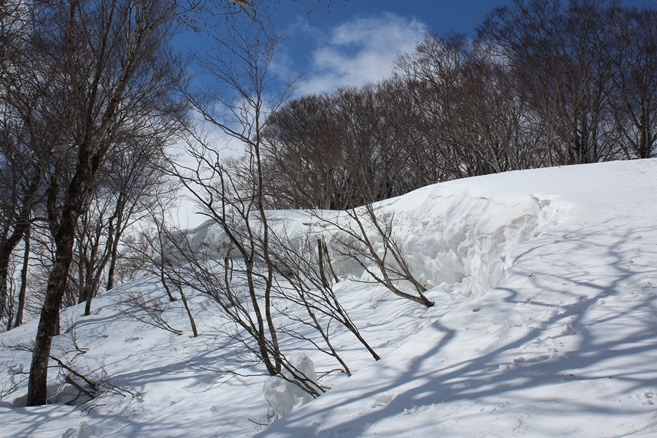 e0239458_19141541.jpg