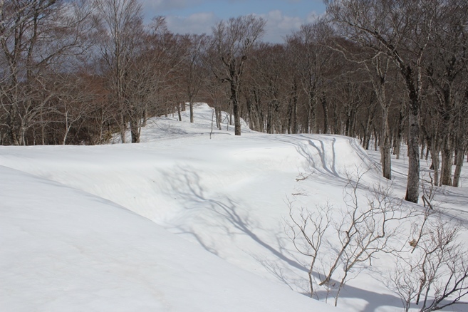 e0239458_19204600.jpg