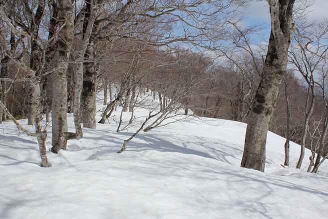e0239458_19285019.jpg