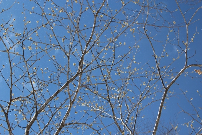 e0239458_19392744.jpg