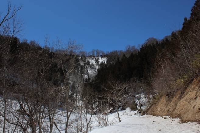 e0239458_19402722.jpg