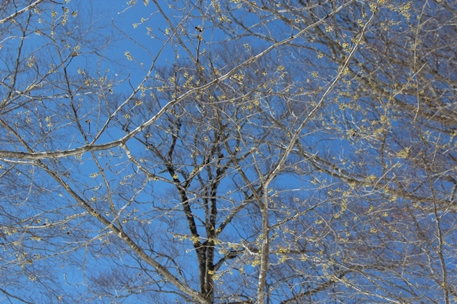 e0239458_22085892.jpg