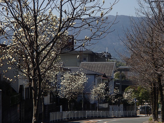 b0044663_8484531.jpg
