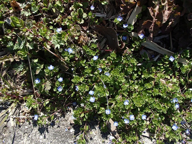 b0044663_8513424.jpg