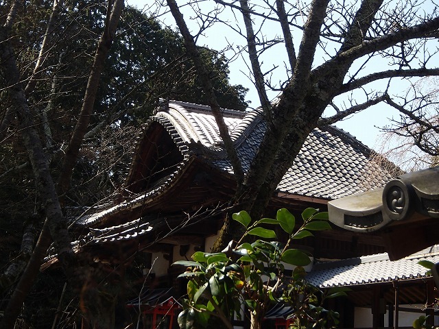 b0044663_852445.jpg