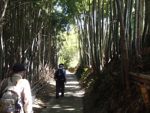 b0044663_8545823.jpg