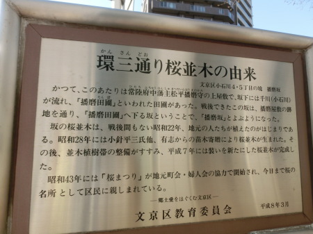 b0190666_23110147.jpg
