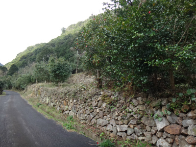 d0182075_33120100.jpg