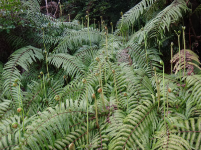 d0182075_332364.jpg