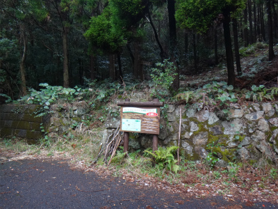 d0182075_334529.jpg