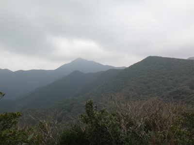 d0182075_341468.jpg
