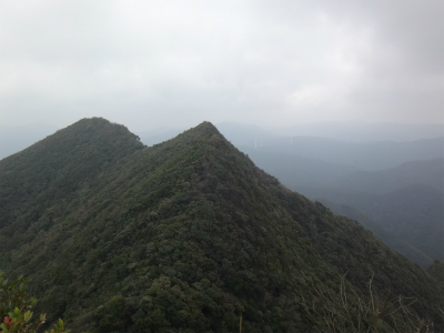 d0182075_3465927.jpg