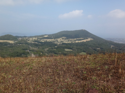 d0182075_355930.jpg