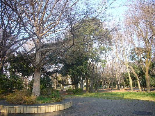 a0141884_22533866.jpg