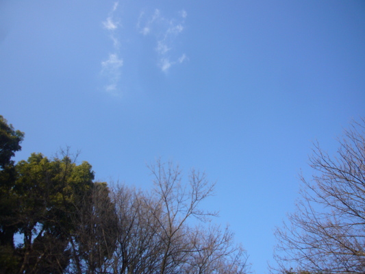 a0141884_22535390.jpg