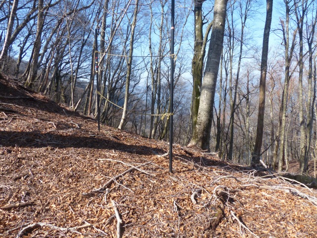 f0357487_1953347.jpg