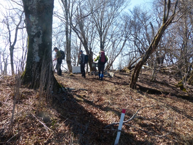 f0357487_2005599.jpg