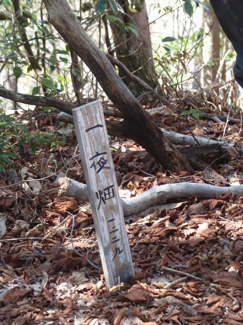 f0357487_20204993.jpg
