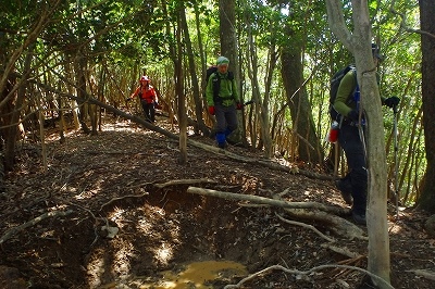 f0357487_2027952.jpg