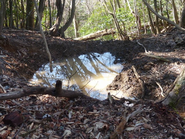 f0357487_20285215.jpg