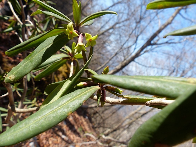 f0357487_2041991.jpg