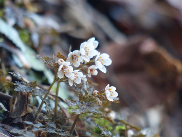 f0357487_211767.jpg