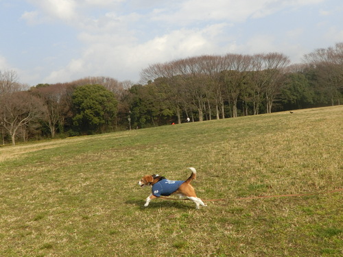 a0319693_6554920.jpg
