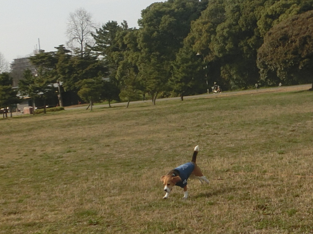 a0319693_732380.jpg