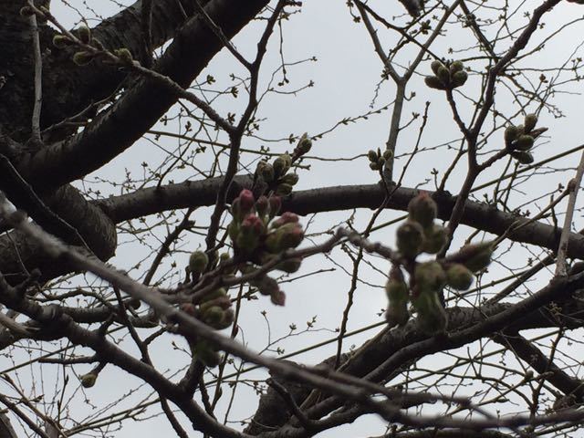 f0130894_23163524.jpg