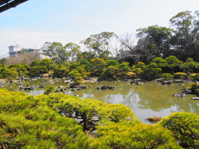 a0236996_0112759.jpg