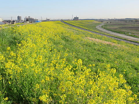 d0046702_183068.jpg