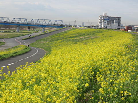 d0046702_1833371.jpg