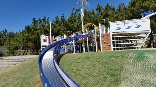 e0136815_08150291.jpg