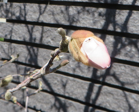 c0280322_10131657.jpg