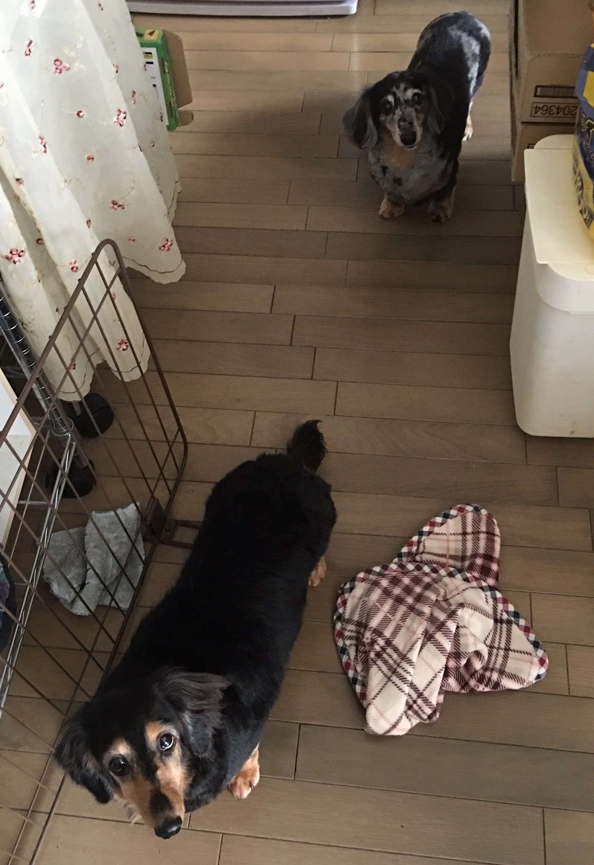 b0029126_08304662.jpeg