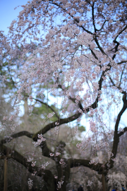 e0311229_2348514.jpg